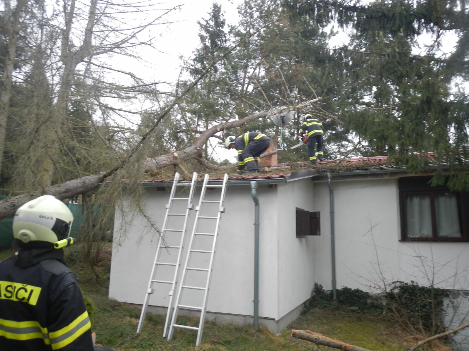 Spadlý strom na chatu, Vůsí - 17. 2. 2022.JPG