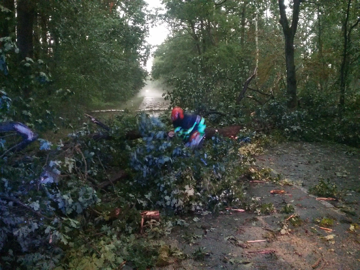 Strom.jpg