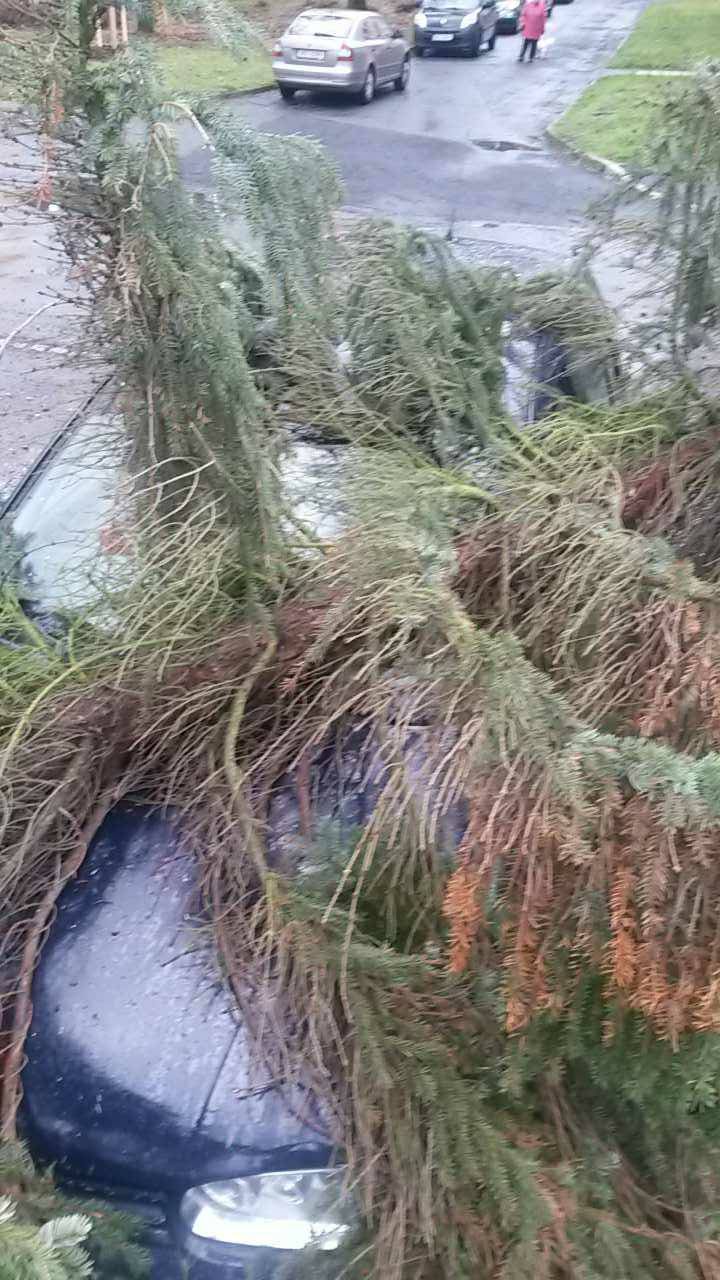 Strom.jpg