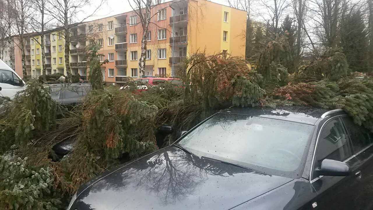 Strom_02.jpg