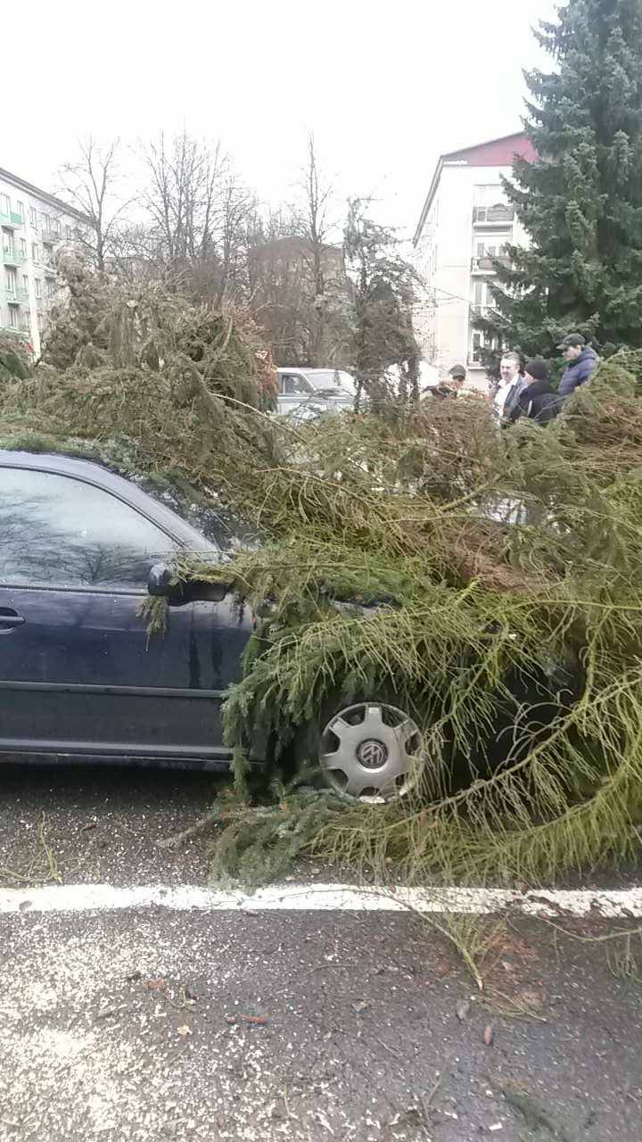 Strom_03.jpg