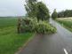 Strom_Dobelice_ZN