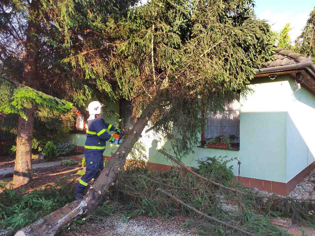 Strom_Lanžhot.jpg