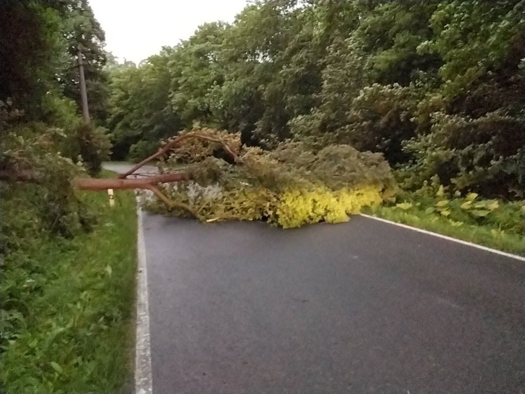 Suchov.jpeg