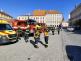 TC IZS (4)