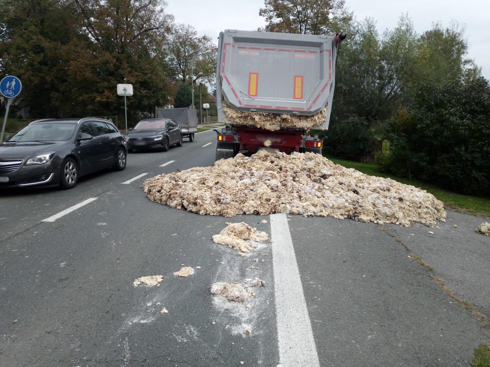 TP Nepasice (2).jpg