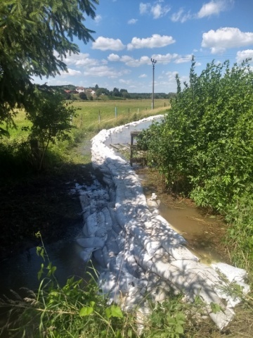 TP Borohrádek (2).jpg