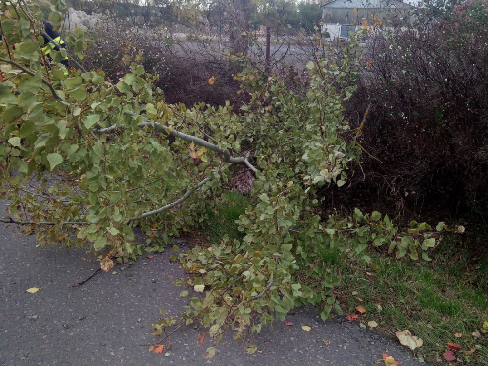 TP Častolovice.jpg