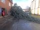TP stromy, Trutnov (2)