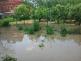 TP_ceska-ves_9-6-2013