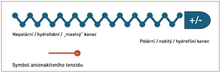 Obr. 4 Tenzidy - obecná struktura, zjednodušený obrázek