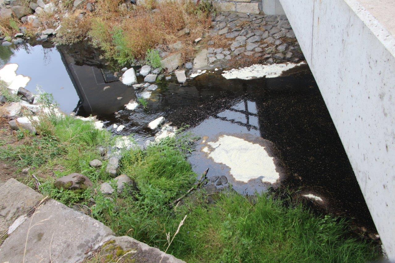 Verneřice 5