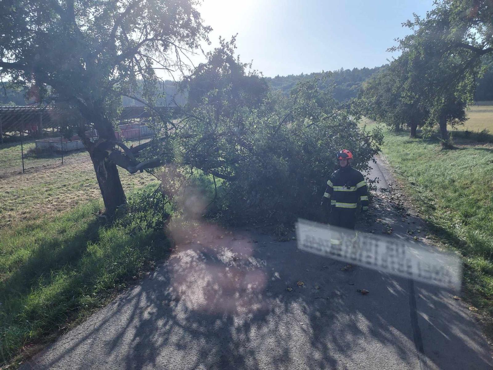 Vohančice.jpeg