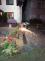 WhatsApp Image 2024-06-28 at 02.19.46