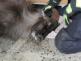 WhatsApp Image 2026-01-15 at 09.26.43
