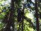 ZOZ_pteni_13-6-2013
