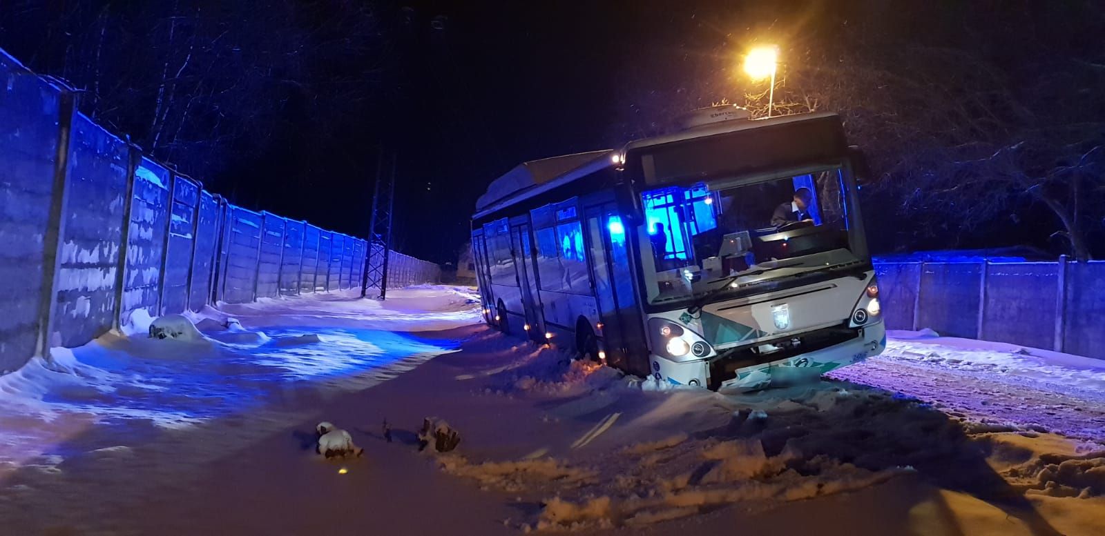 autobus II.jpg