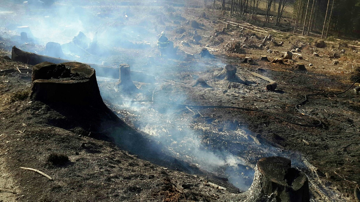 bukovice_2.jpg
