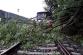 cerven_foto_mesice (10)