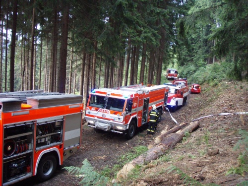 cvicenipozarlesPrasivahora (FM) (1).jpg