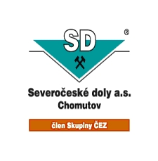 dolycv.jpg
