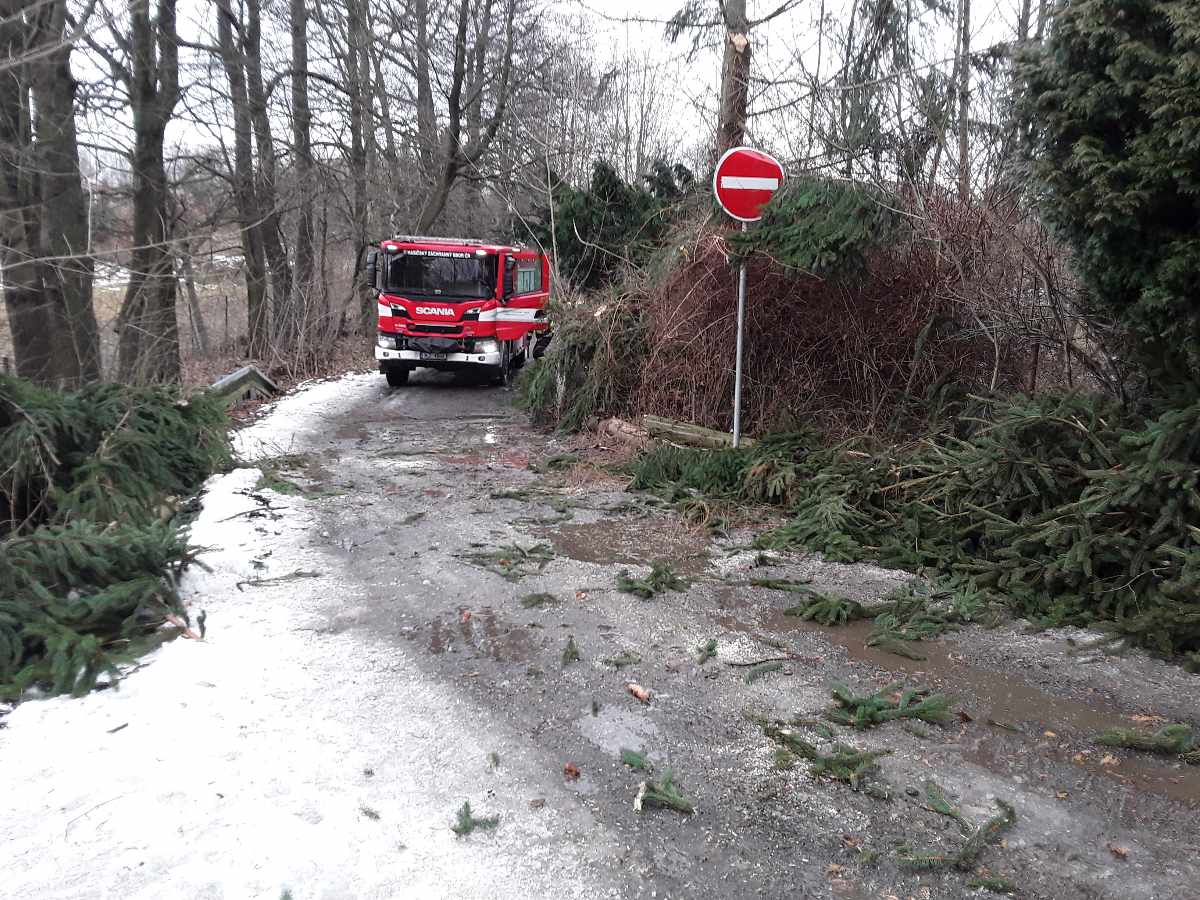 foto_4.jpeg