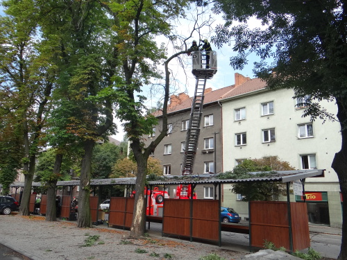 kacenikastantrzniceBohumin (5).JPG
