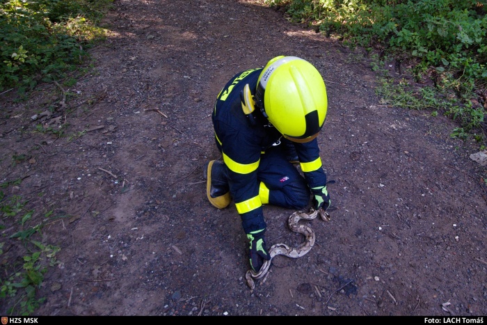 krajtapotokVresina (1 OV).jpg