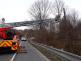 nalomeny_strom_Stara_Ves_BC_NJ_2