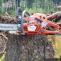obrazek 3_Husqvarna 550 XP