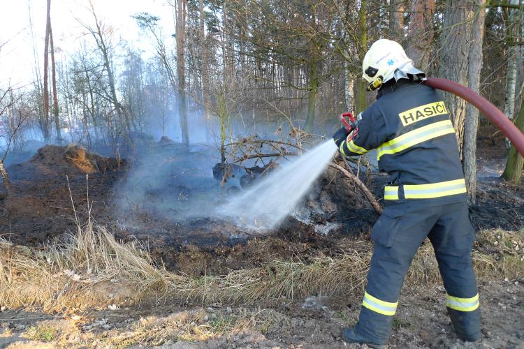 vypalování trávy se může rozšířit i do lesního porostu.