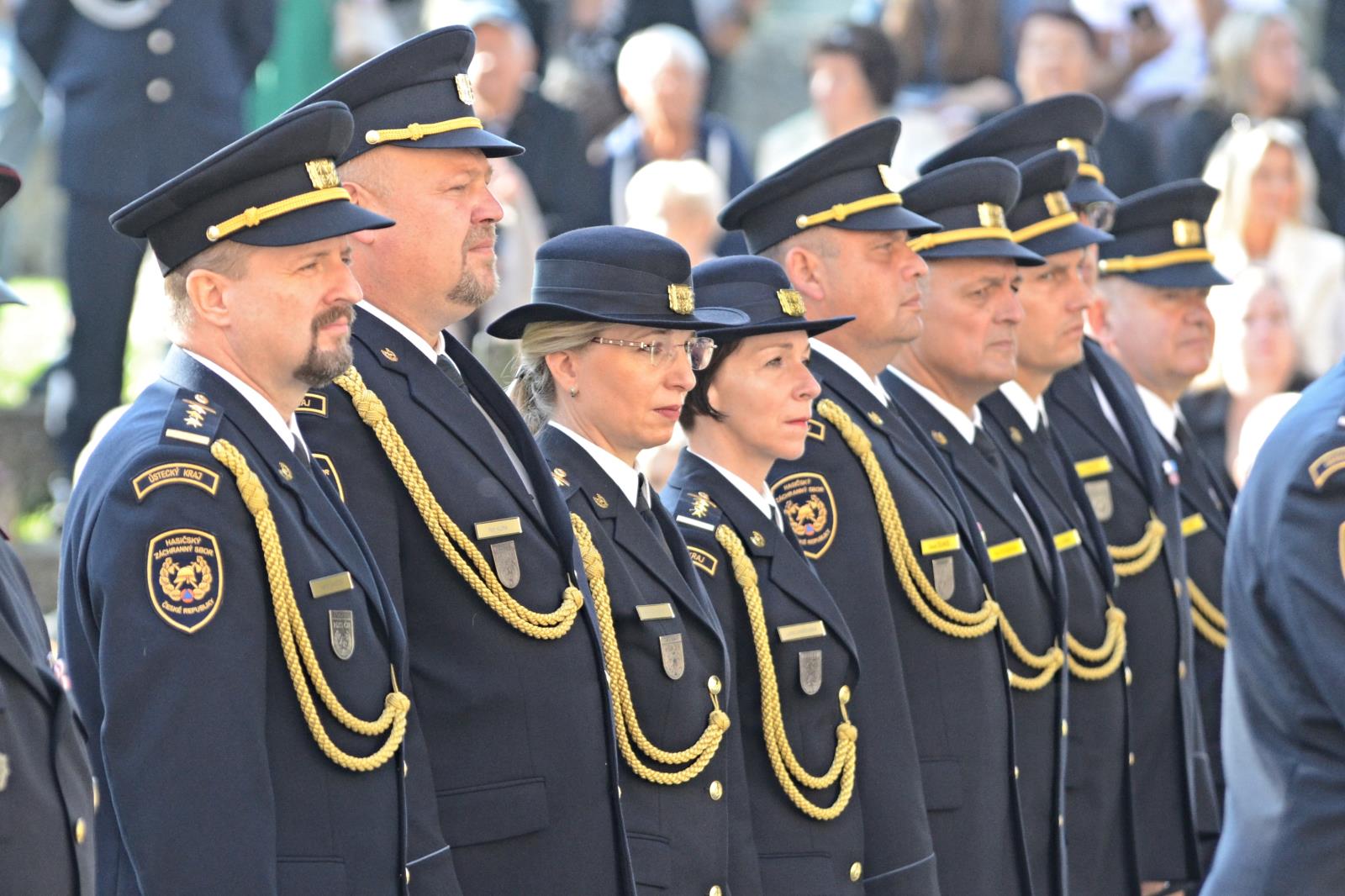 p6.jpg