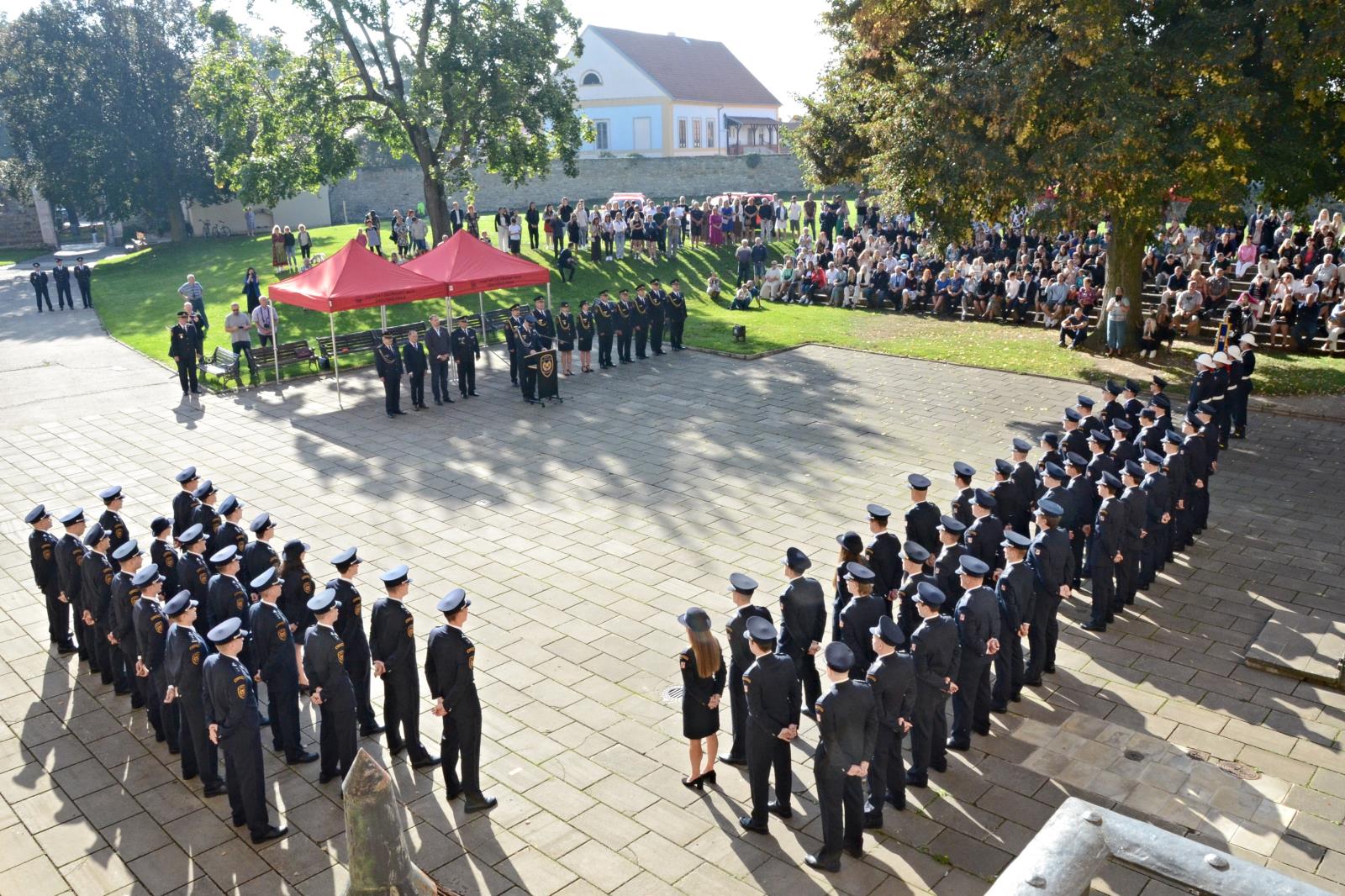 p7.jpg