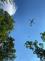 paraglidistka25-9-2021 (4)