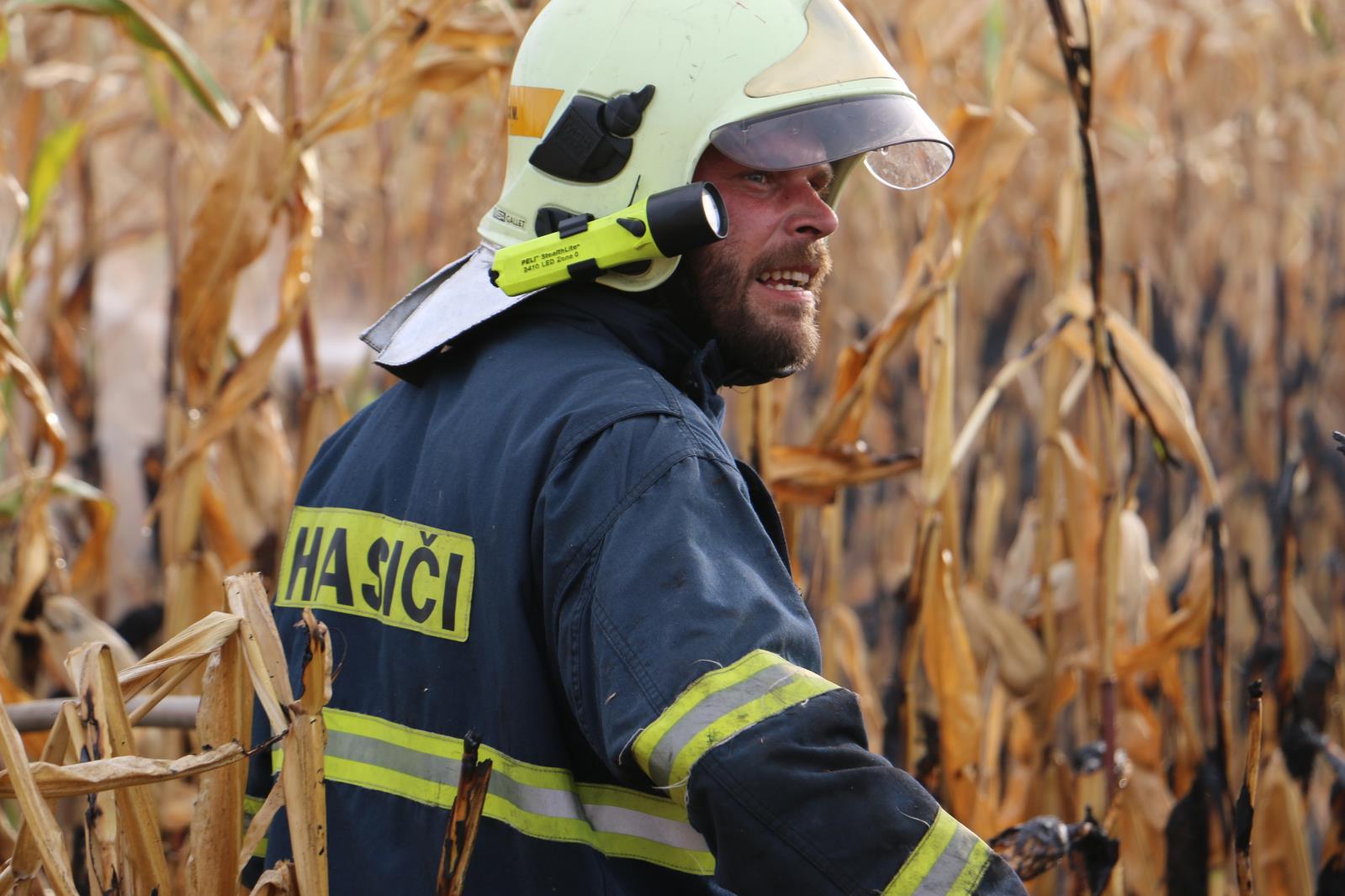polní požár kukuřice - Šternberk 10.9.2018