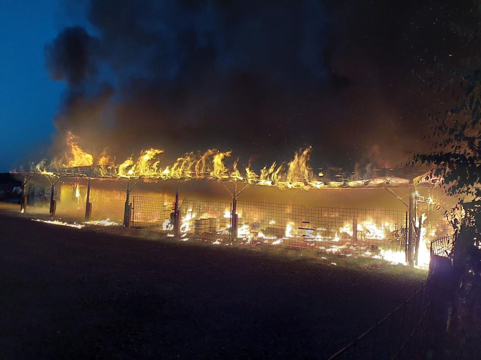 požár Borek.jpeg