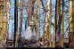 pozar_lesa_Petrvald_KI_02