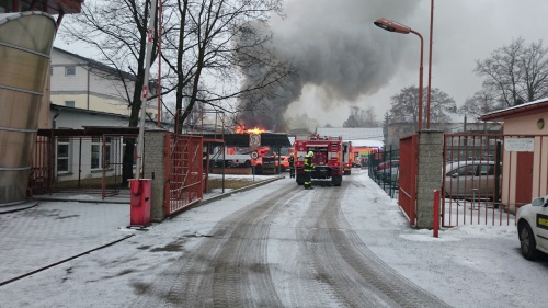 pozarhalaOrlova_start (1).jpg
