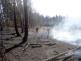 pozarlesLhotka (5)