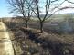 požáry porostů (28)