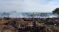 premyslovice pozar lesa_5