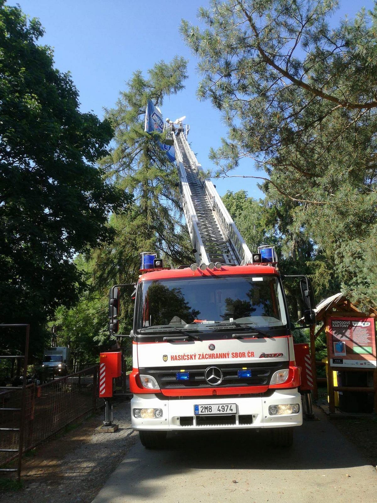 slunečník v ZOO.jpg