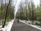 snihvitr7stromuTrinec (4)