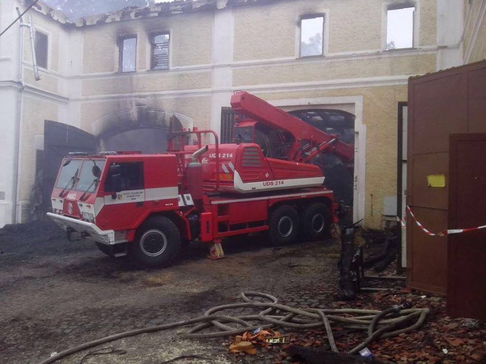 štěpka.jpg