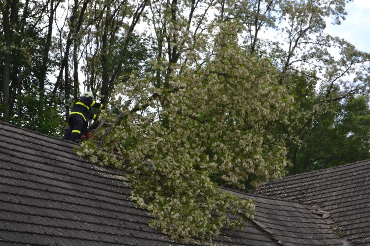 Foto. JSDH Proseč