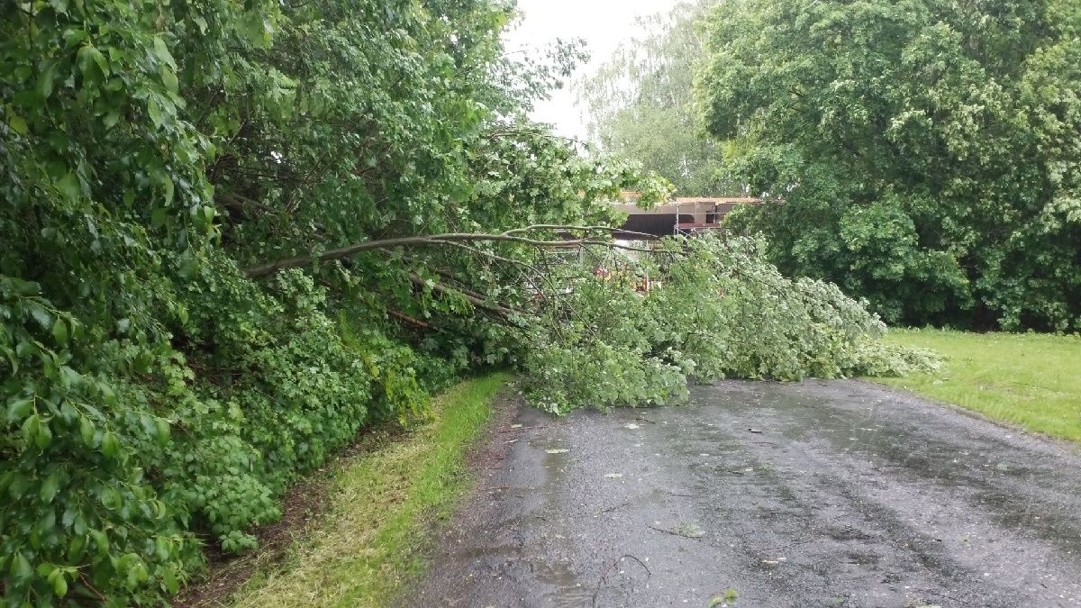 strom 7.6.2020.jpg