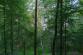 stromOV_Hulvaky (1)