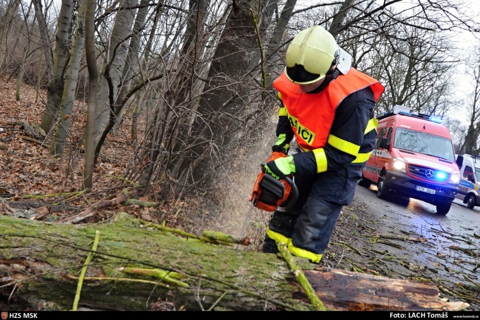 stromPodzamciOstrava (1).jpg