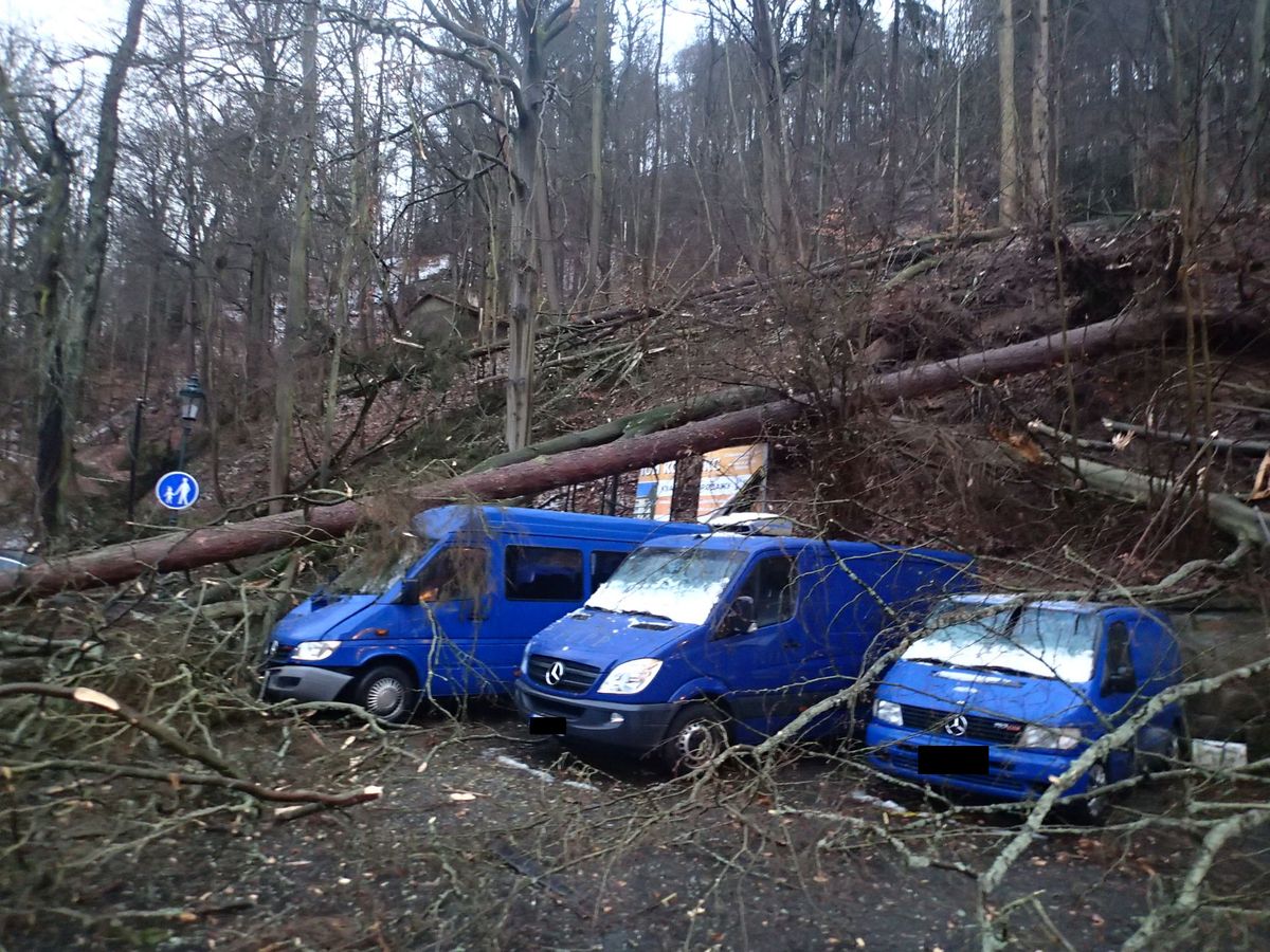 strom_05.JPG