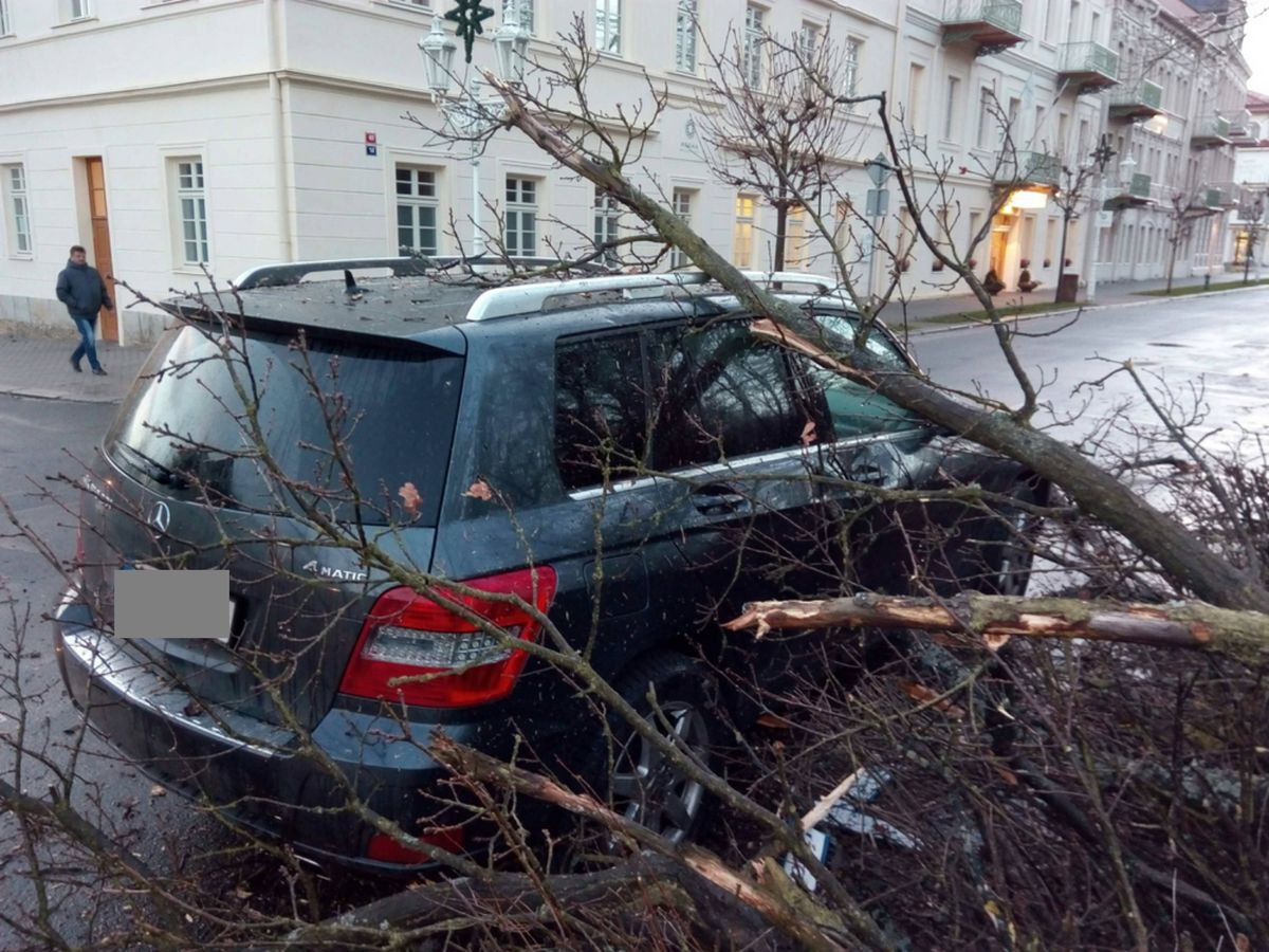 strom_13.jpg